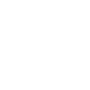 Action Coach